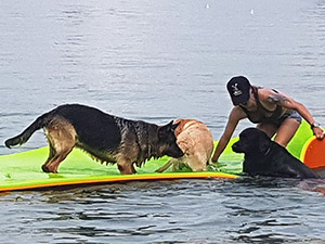 floating mat with dogs